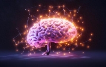 脑科学：探索宇宙中最复杂的物质