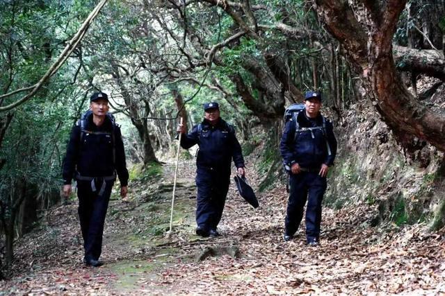 “树警察”:巡山取“经”27年