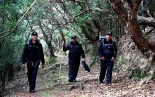 “树警察”：巡山取“经”27年