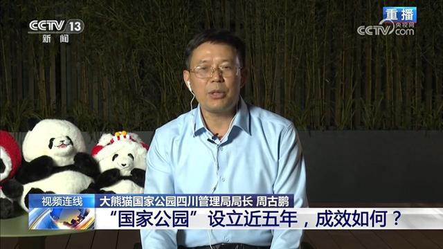 “国家公园”设立近五年 成效如何?