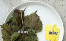 被称为“纯阳之草”的紫苏，才是夏天最该喝的神仙水！7种不重样