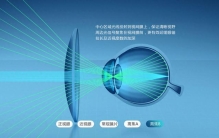 专业的眼镜品牌排行榜哪个排名高的品牌
