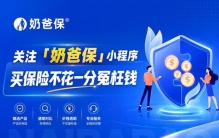 奶爸保登顶，行业头部主体全面盘点