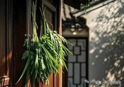 当艾草身价超过玫瑰,我们买的不是植物,是童年遗落的光