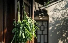 当艾草身价超过玫瑰，我们买的不是植物，是童年遗落的光