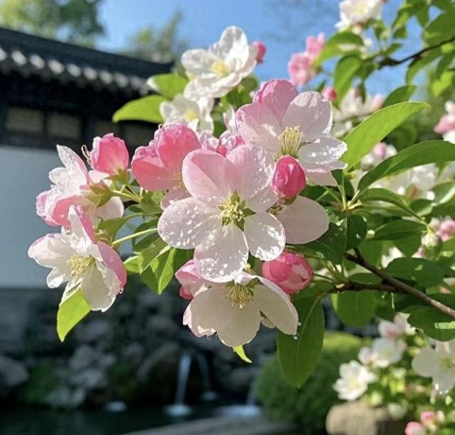 世界上 "最" 有力的一句话!