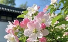 世界上 "最" 有力的一句话！