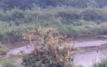 云南“十八”怪！外地人直呼稀奇，本地人早已见怪不怪