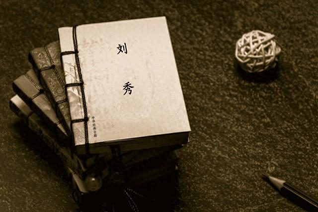 刘秀:史上最被低估的开国皇帝,他的“柔道”为何能得天下?