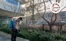 上海办公室灭鼠选哪家？上格虫控靠谱吗？