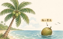 最怪植物变成了奶茶？——揭开椰子的爆红