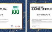 四地FV佛罗伦萨小镇齐获“2025年度中国奥莱最具影响力奥莱”