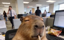 世界上最难受的三件事！第一！上班！