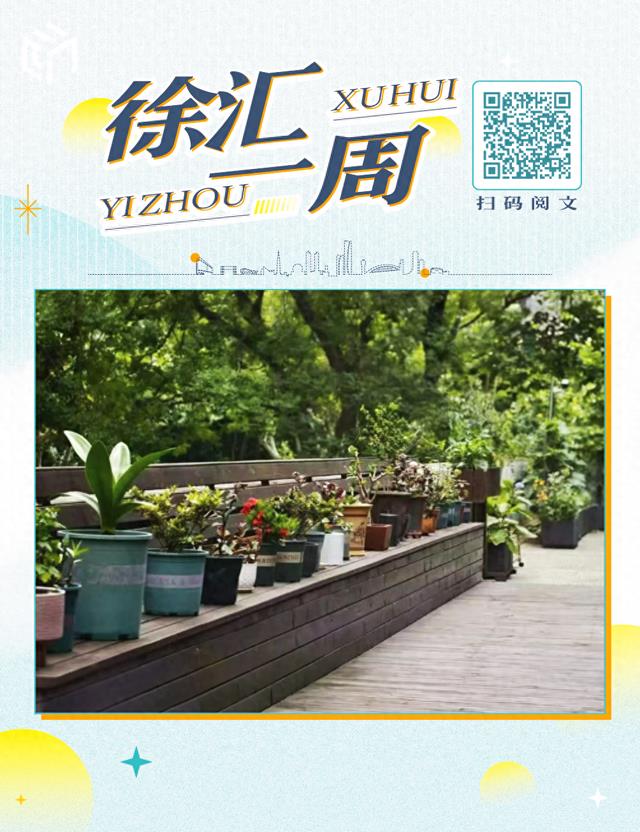 徐汇那些藏在街头的“之最”建筑……