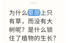 为什么草原上只有草，而没有大树呢？是什么锁住了植物的生长？
