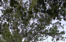 聊城人最看重哪个区县，答案居然惊人统一！