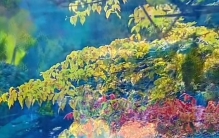 中国这十大美景，去过一半此生无憾！你打卡了几个？