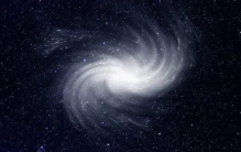 银河系级别的地下奇观！科学杂志首次揭晓全球最大真菌微观网络