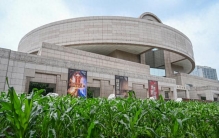 从玉米地到世界树：上博新展以宇宙观串联三千年美洲文明