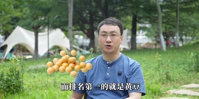 别光盯着肉蛋奶补蛋白了,第一名黄豆只要换个家常做法,身体吸收率就暴涨,比牛肉便宜营养还不打折扣