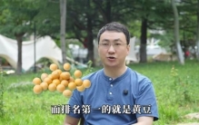 别光盯着肉蛋奶补蛋白了，第一名黄豆只要换个家常做法，身体吸收率就暴涨，比牛肉便宜营养还不打折扣