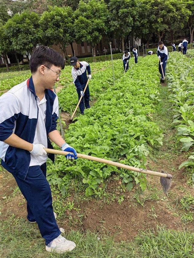农学专业翻身做主人:除了腱子肉,还有治愈一切的魔法