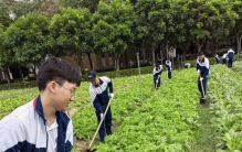 农学专业翻身做主人：除了腱子肉，还有治愈一切的魔法
