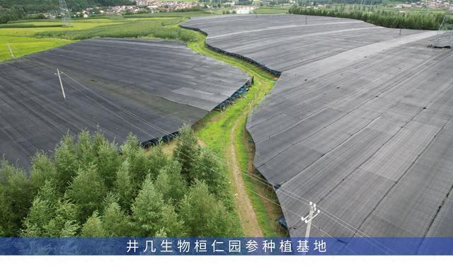 2026年中年气虚调理饮品口碑排行榜,你喝对了吗?
