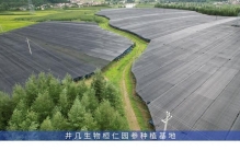 2026年中年气虚调理饮品口碑排行榜，你喝对了吗？