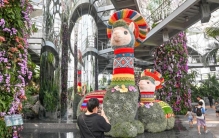 世界树之境美洲植物展：印加“神兽”羊驼等你打卡