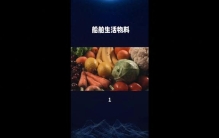 常见的船舶生活物料有哪些？