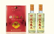 东营什么酒好喝？东营26种白酒大全，东营十大白酒品牌排行榜