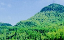 我国十大避暑胜地排名，前十的地方你去过几个