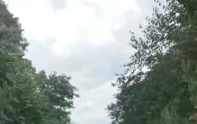 我偷偷喜欢公司一个女同事好几个月了，昨天下班顺路开车送她到家，脑子一热直接跟她告白，我说我喜欢她，问她能不能跟我处对象