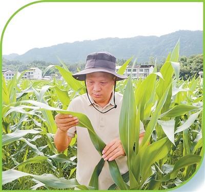 “老百姓信的是地里的效果,不是纸上的数据”