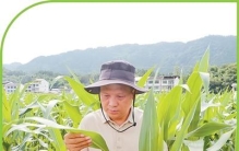 技术只有长在田里才算数