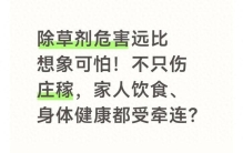 除草剂危害远比想象可怕！不只伤庄稼，饮食、身体健康都受牵连？