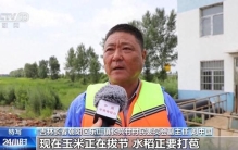 为保住全村收成 他纵身入水徒手清淤