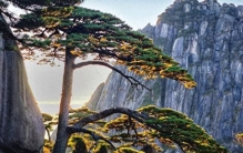中国10大旅游景点，旅游必去的地方？