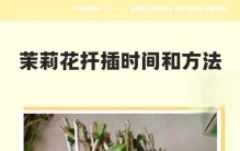 养花“三剑客”PK：白糖、白醋、阿司匹林谁最牛？