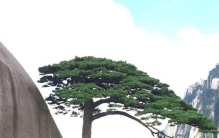 国内真正值得去的8个顶级景点！没有滤镜，去过才算不负山河