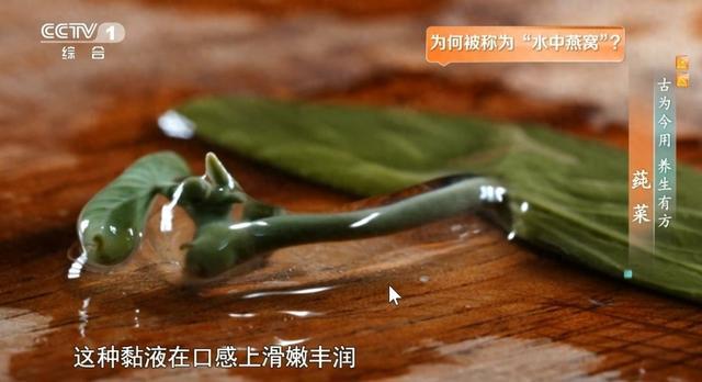 夏日脾胃差、容易上火？试试这碗平价滋补“燕窝”，常吃清热护胃、延缓衰老