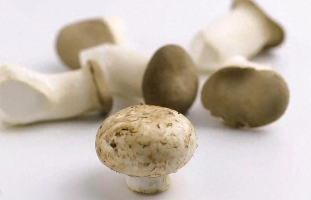 世界十大奢侈食材