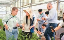 四川邛海畔的全球“荞麦之约”