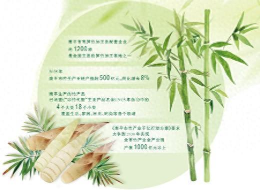 一根翠竹,长成超500亿元大产业(看中国好物七十二变)