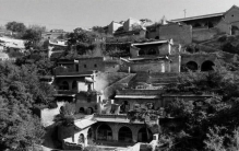 距今约2700年的古墓出土一种奇异生物，国人皆难分辨，留洋专家一句话解开谜团