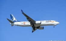 全球最大航司有多少架飞机？C919必将打破波音空客垄断