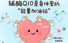 2025 国外辅酶 Q10 最新榜：前五名进口品牌比较