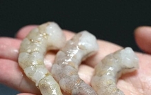 热量低到离谱的10种食物，第1名几乎0卡，越吃越轻
