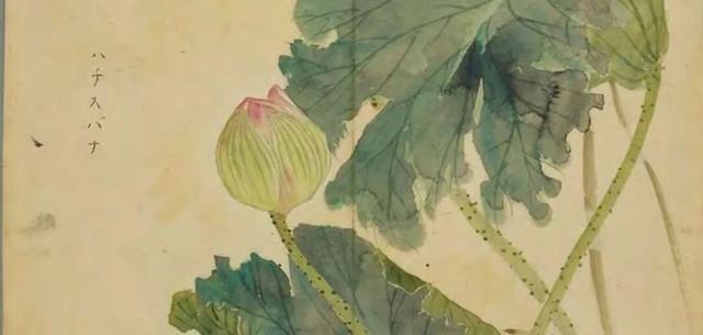 《诗经》里的植物(四):草木里的兴观群怨(续)